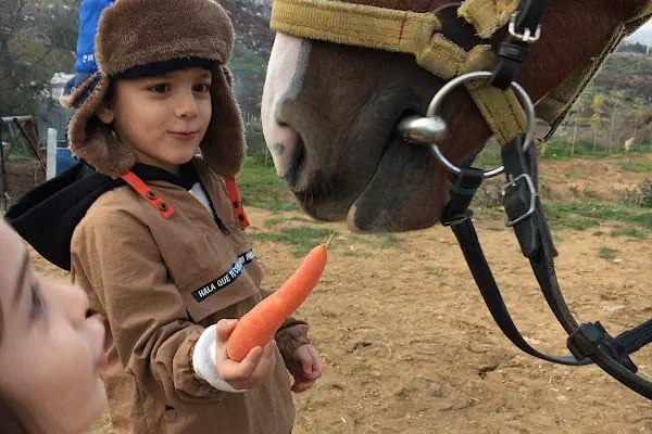 Eyüpsultan ATLI Sporlar Derneği (Atlı Okçuluk ve Binicilik Merkezi) ESATLIDER - Resim 10