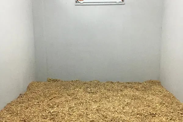 Eyüpsultan ATLI Sporlar Derneği (Atlı Okçuluk ve Binicilik Merkezi) ESATLIDER - Resim 6