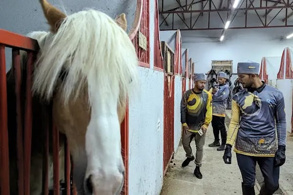 Eyüpsultan ATLI Sporlar Derneği (Atlı Okçuluk ve Binicilik Merkezi) ESATLIDER - Resim 17