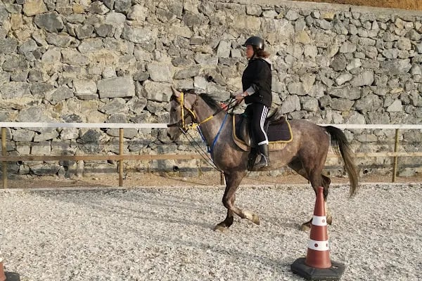 Eyüpsultan ATLI Sporlar Derneği (Atlı Okçuluk ve Binicilik Merkezi) ESATLIDER - Resim 19
