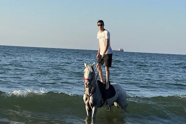 Eyüpsultan ATLI Sporlar Derneği (Atlı Okçuluk ve Binicilik Merkezi) ESATLIDER - Resim 16