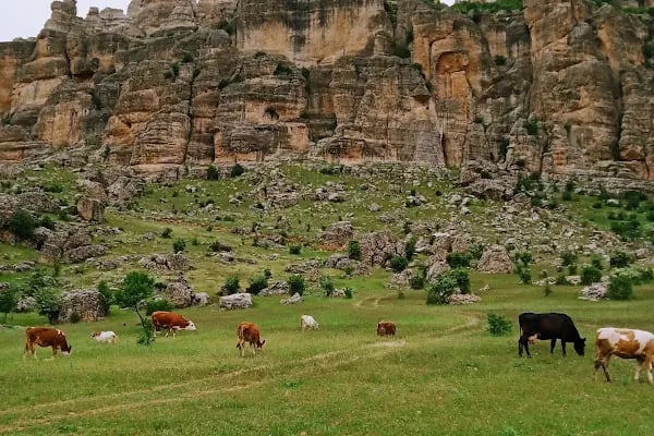 Çermik Gelincik Dağı - Resim 6
