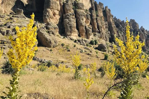 Çermik Gelincik Dağı - Resim 5