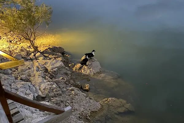 Sille Baraj Parkı - Resim 19