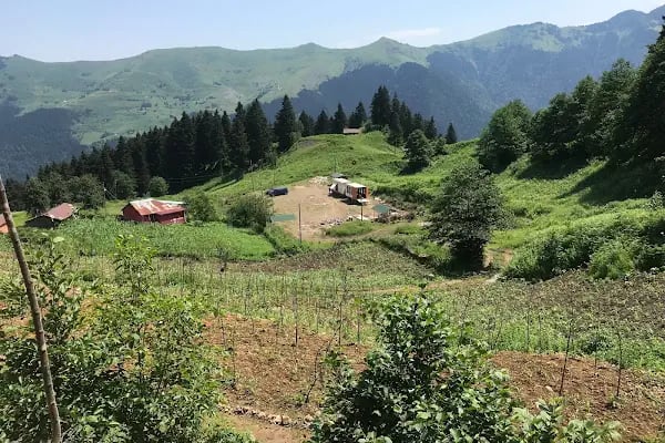 Türkobası piknik ve kamp alanı - Resim 2