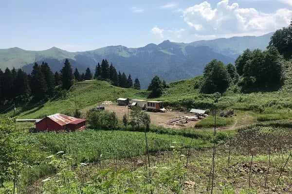 Türkobası piknik ve kamp alanı - Resim 10