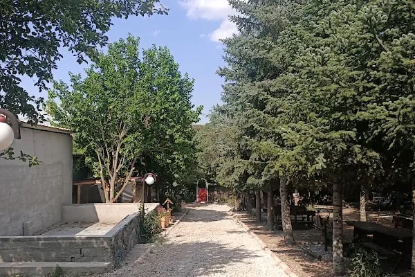 Kalıpçıoğlu At Çiftliği &amp; At Pansiyon &amp; Binicilik - Resim 5