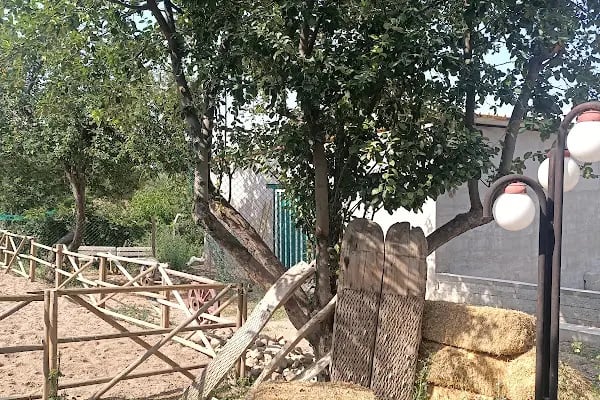 Kalıpçıoğlu At Çiftliği &amp; At Pansiyon &amp; Binicilik - Resim 11