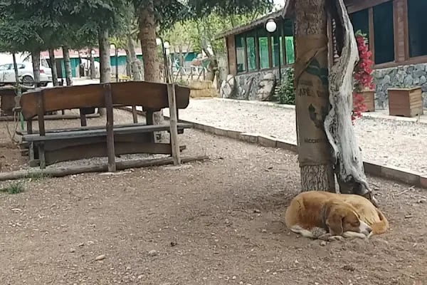 Kalıpçıoğlu At Çiftliği &amp; At Pansiyon &amp; Binicilik - Resim 4