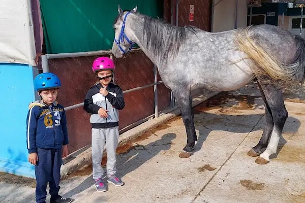 Karesi Obası Atlı Binicilik ve Savaş Sanatları Eğitim Merkezi - Resim 20