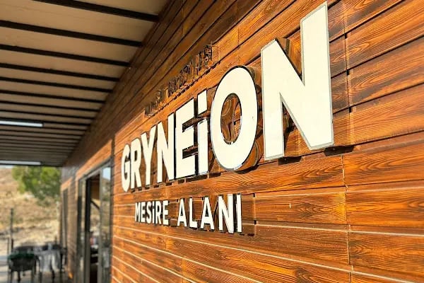 GRYNEİON (HACİÖMERLİ) MESİRE ALANI - Resim 3