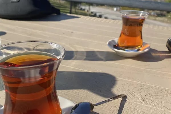 GRYNEİON (HACİÖMERLİ) MESİRE ALANI - Resim 19