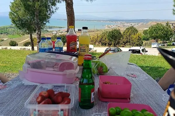 GRYNEİON (HACİÖMERLİ) MESİRE ALANI - Resim 7