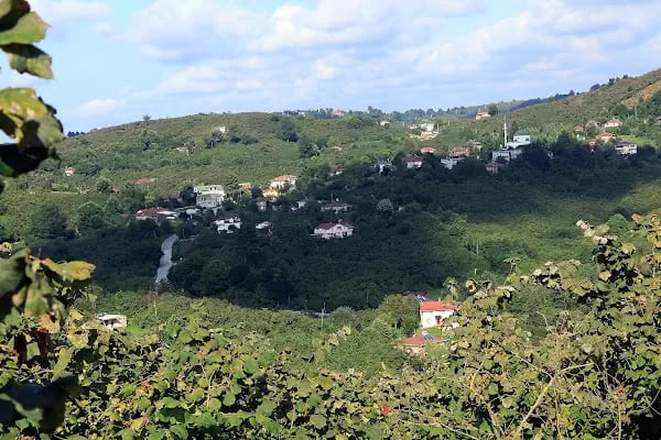 Akçakoca Belediyesi - Resim 10