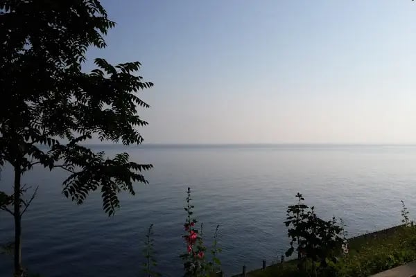 Akçakoca Belediyesi - Resim 3