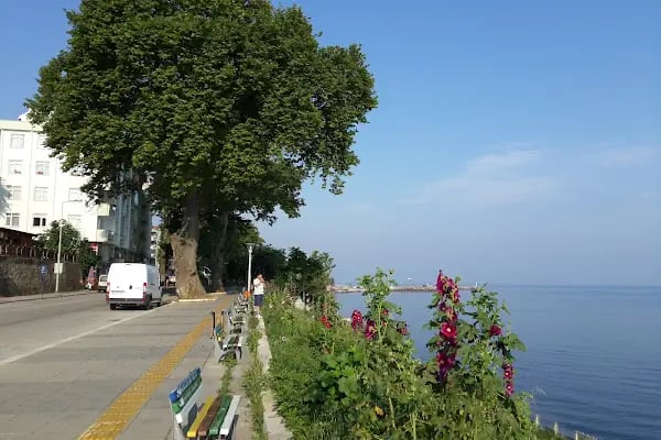 Akçakoca Belediyesi - Resim 11