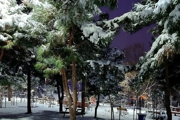 Bağcılar Millet Bahçesi - Resim 18