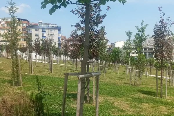 Bağcılar Millet Bahçesi - Resim 16