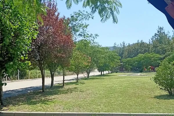 ATRANOS TERMAL OTEL - Resim 15