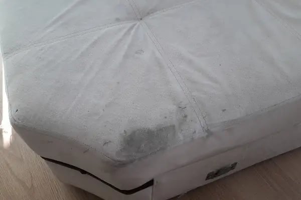 Anemon Kuru Temizleme - Resim 19