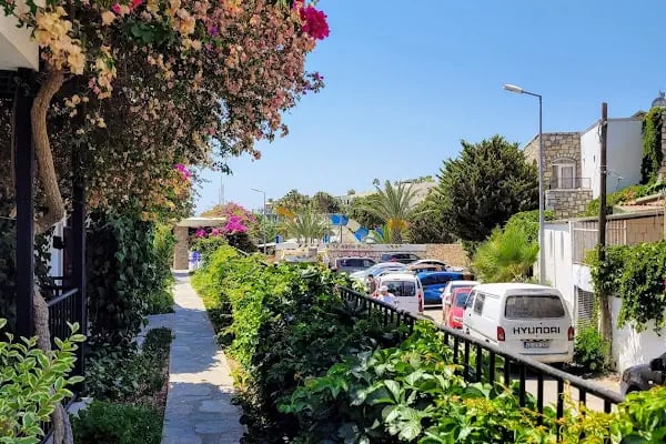 Salinas Hotel Bodrum - Resim 15