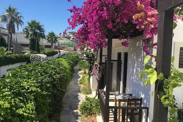 Salinas Hotel Bodrum - Resim 14