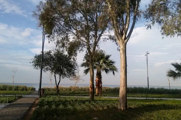 İhsan Alyanak Parkı - Resim 17