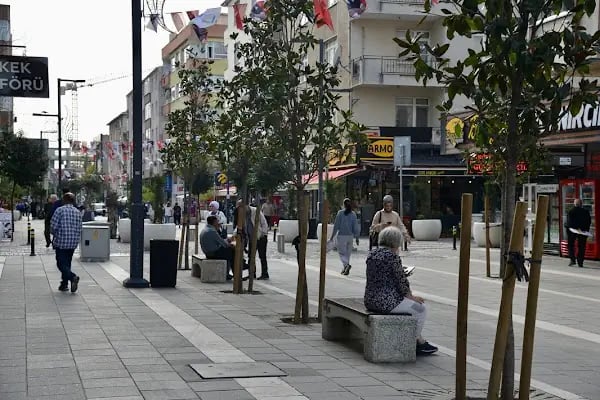 Mareşal Caddesi Yürüyüş Yolu - Resim 2