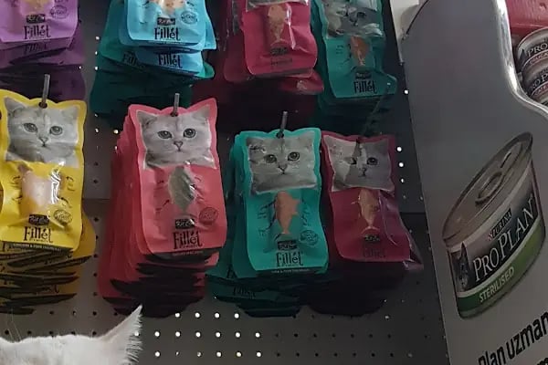 BOTANICA PET &amp; GARDEN - Resim 5