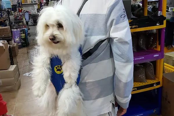 BOTANICA PET &amp; GARDEN - Resim 8