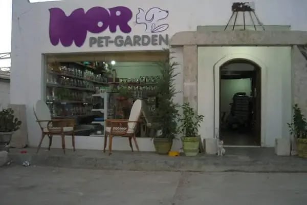 BOTANICA PET &amp; GARDEN - Resim 20