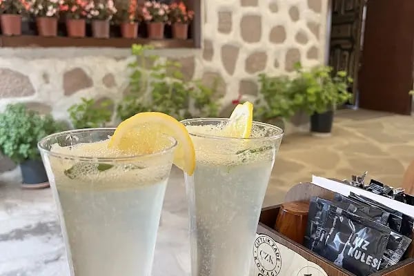 Çiftlikzade Konağı - Resim 8