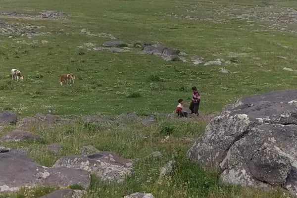 Doğa Veteriner Kliniği - Resim 1
