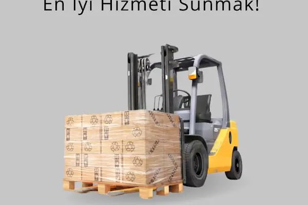 Asay Gümrük Müşavirliği - Resim 12