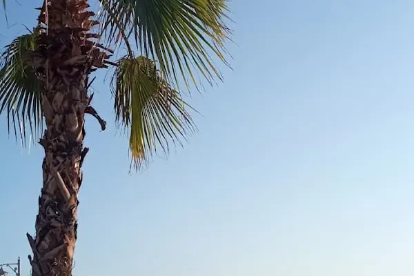 Birecik Fenerbahçe Futbol Okulu - Resim 1