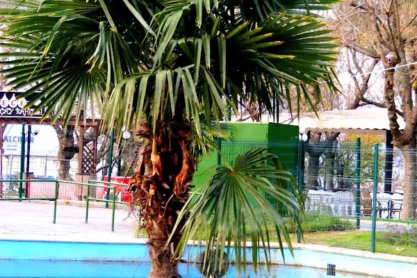 T.C. İstanbul Kültür Üniversitesi - Resim 14