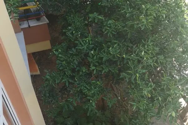 Alanya Dreams Apart Hotel - Resim 13