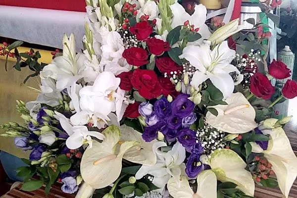 Orient Flora Uluslararası Çiçekçilik - Resim 3