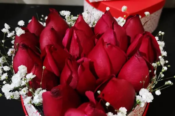 Orient Flora Uluslararası Çiçekçilik - Resim 19