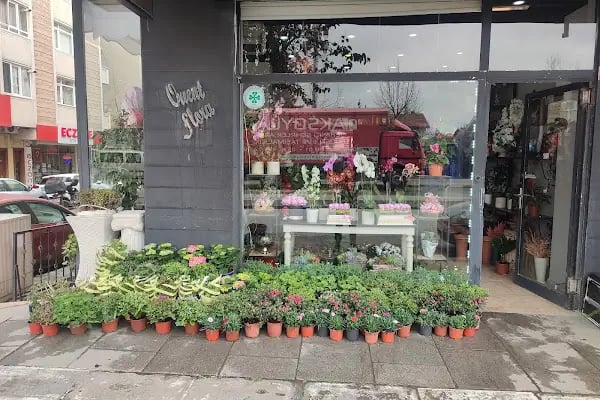 Orient Flora Uluslararası Çiçekçilik - Resim 2