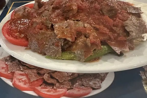 İmam Aslan Dinlenme Tesisleri BURSA KEBAP - Resim 7