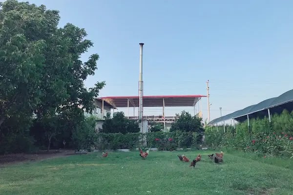 Akdeniz Yuzme Havuzu - Resim 12