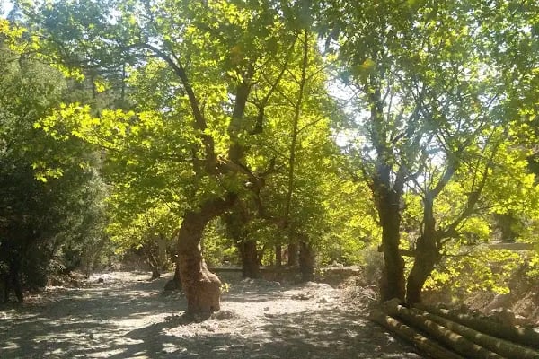 Çayarası Şelale - Resim 9
