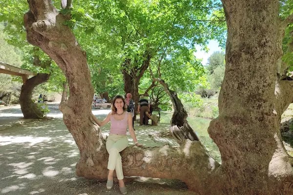 Çayarası Şelale - Resim 14