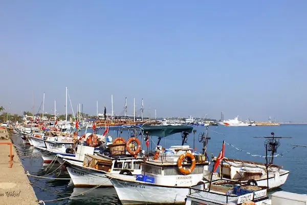 Taşucu TDE Limanı - Resim 1