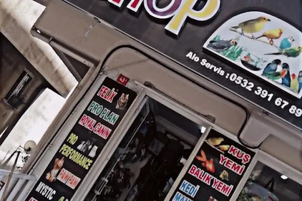 Ambarlı Petshop - Resim 2