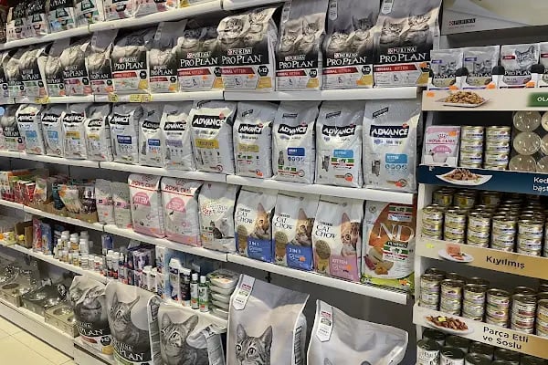 City PetShop -Kedi Köpek Kuş Balık Kaplumbağa Ginepig Tavşan Papağan Scottih Fold British - Resim 14