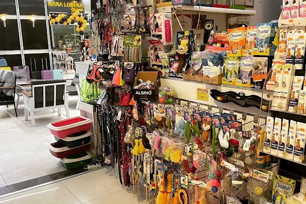 City PetShop -Kedi Köpek Kuş Balık Kaplumbağa Ginepig Tavşan Papağan Scottih Fold British - Resim 15