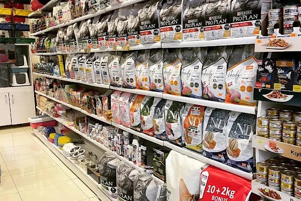 City PetShop -Kedi Köpek Kuş Balık Kaplumbağa Ginepig Tavşan Papağan Scottih Fold British - Resim 10