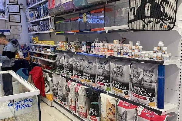 City PetShop -Kedi Köpek Kuş Balık Kaplumbağa Ginepig Tavşan Papağan Scottih Fold British - Resim 3
